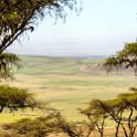 TZA ARU Ngorongoro 2016DEC23 033 : 2016, 2016 - African Adventures, Africa, Arusha, Date, December, Eastern, Month, Ngorongoro, Places, Tanzania, Trips, Year